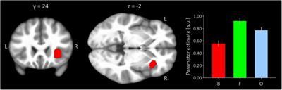 Role of the right anterior insula for the emergence of flow—A combined task-based fMRI activation and connectivity study